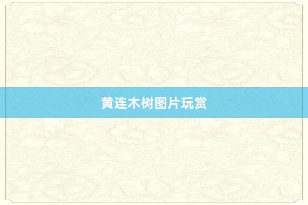 黄连木树图片玩赏