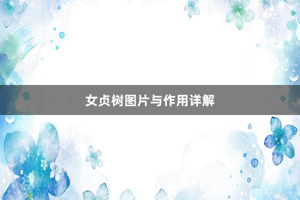 女贞树图片与作用详解