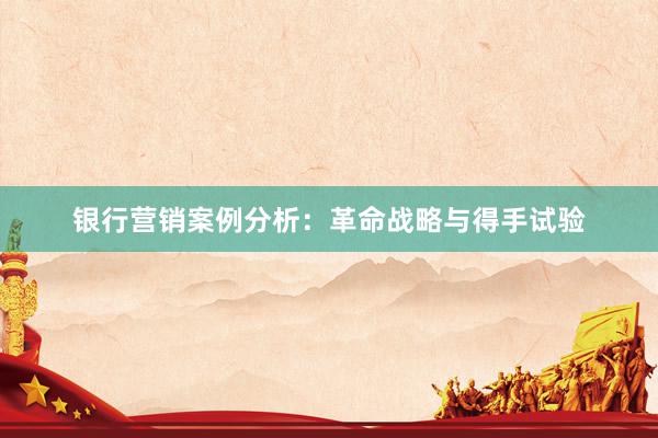 银行营销案例分析：革命战略与得手试验